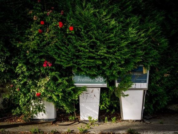 Photo de vieilles pompes à essence envahies par la végétation