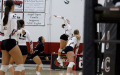 Eagles Volleyball on court